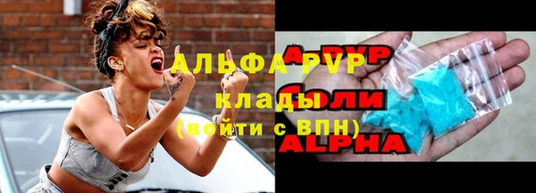 мяу мяу мука Инсар