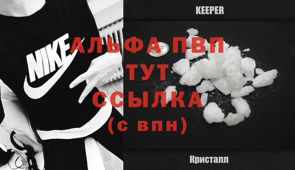 мяу мяу мука Инсар