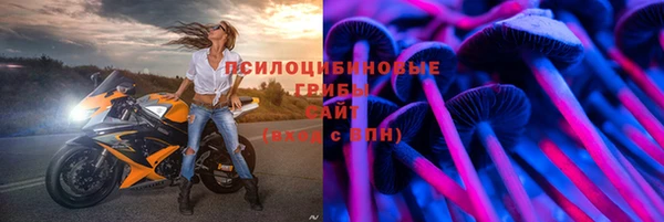 мяу мяу мука Инсар