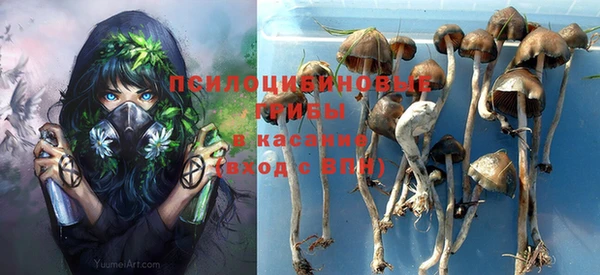 jwh Иннополис