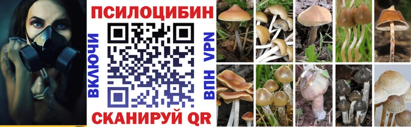 Купить  Киржач  Галлюциногенные грибы Magic Shrooms 
